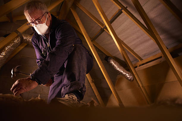 Best Home Insulation Services  in Rye Brook, NY